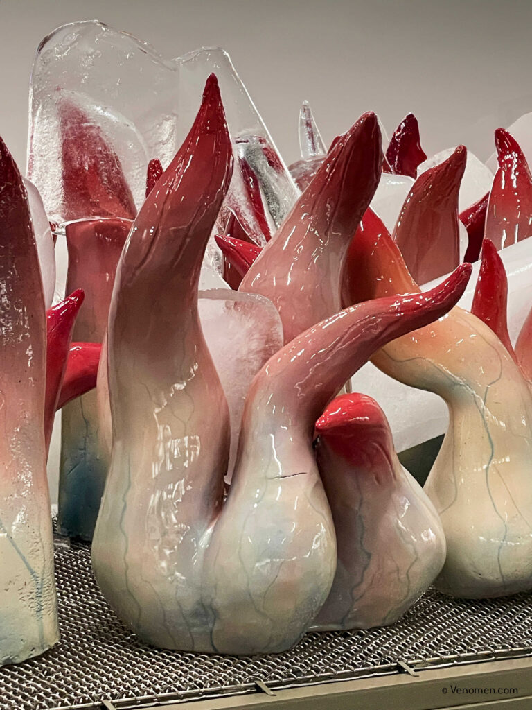 Laure Andre : D'apparence surréaliste, ses créations expérimentent les strates de l'intime, du corporel, du religieux, du médical et du quotidien.